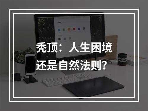 秃顶：人生困境还是自然法则？