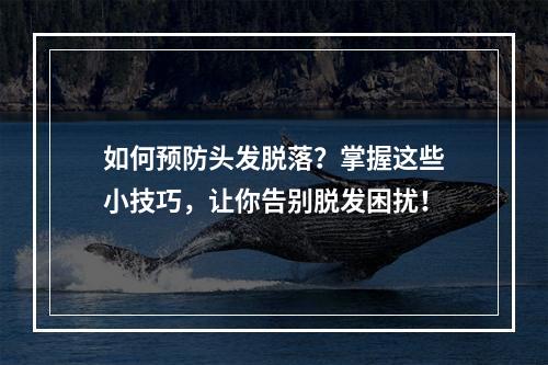 如何预防头发脱落？掌握这些小技巧，让你告别脱发困扰！