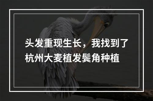 头发重现生长，我找到了杭州大麦植发鬓角种植