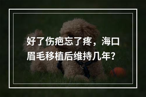 好了伤疤忘了疼，海口眉毛移植后维持几年？