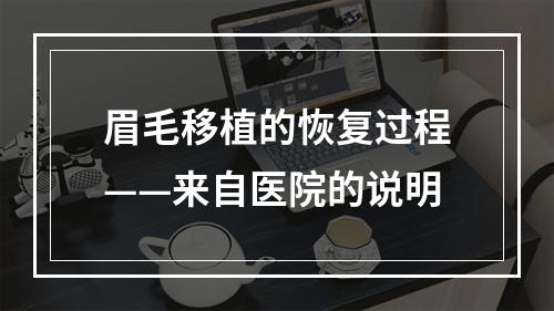 眉毛移植的恢复过程——来自医院的说明