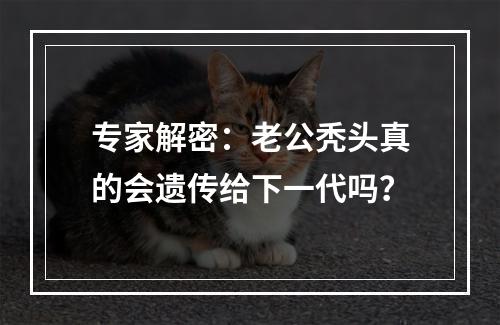 专家解密：老公秃头真的会遗传给下一代吗？