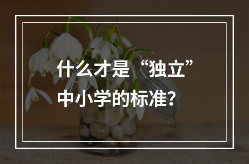 什么才是“独立”中小学的标准？