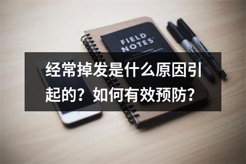 经常掉发是什么原因引起的？如何有效预防？