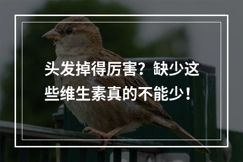 头发掉得厉害？缺少这些维生素真的不能少！