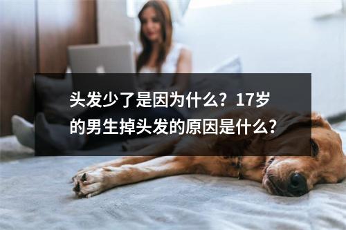 头发少了是因为什么？17岁的男生掉头发的原因是什么？