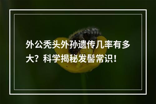 外公秃头外孙遗传几率有多大？科学揭秘发髻常识！