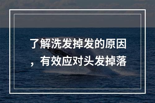 了解洗发掉发的原因，有效应对头发掉落