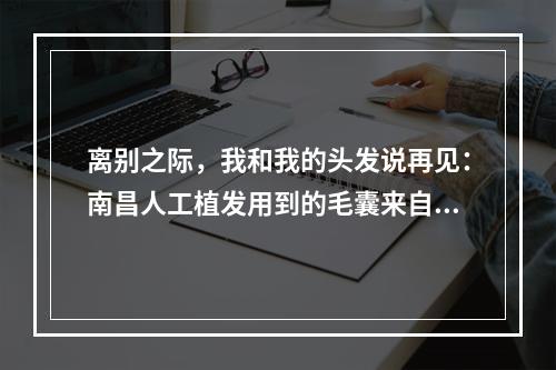 离别之际，我和我的头发说再见：南昌人工植发用到的毛囊来自哪里