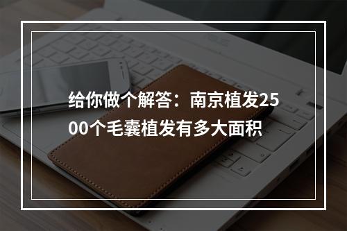 给你做个解答：南京植发2500个毛囊植发有多大面积