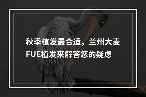 秋季植发最合适，兰州大麦FUE植发来解答您的疑虑