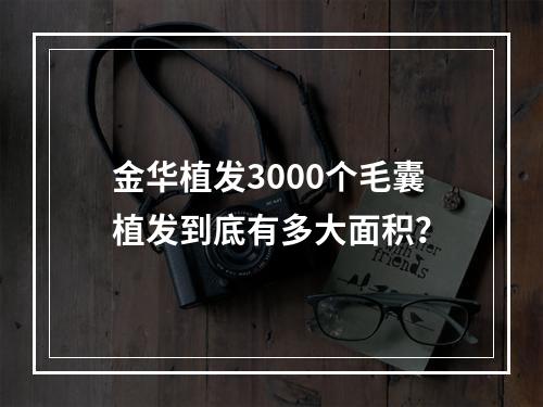 金华植发3000个毛囊植发到底有多大面积？