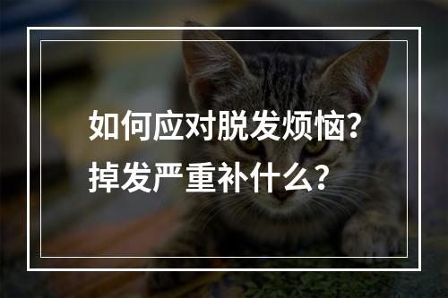 如何应对脱发烦恼？掉发严重补什么？