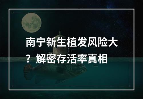 南宁新生植发风险大？解密存活率真相