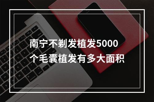 南宁不剃发植发5000个毛囊植发有多大面积