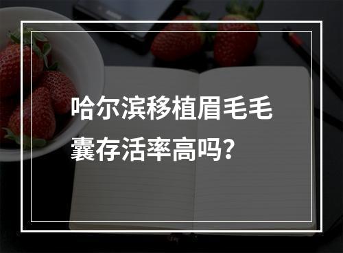 哈尔滨移植眉毛毛囊存活率高吗？