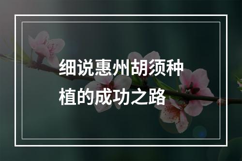 细说惠州胡须种植的成功之路