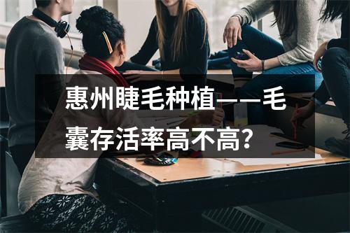 惠州睫毛种植——毛囊存活率高不高？