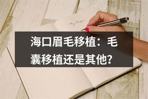 海口眉毛移植：毛囊移植还是其他？