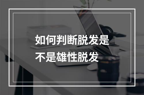 如何判断脱发是不是雄性脱发