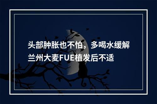 头部肿胀也不怕，多喝水缓解兰州大麦FUE植发后不适