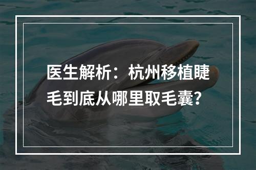 医生解析：杭州移植睫毛到底从哪里取毛囊？