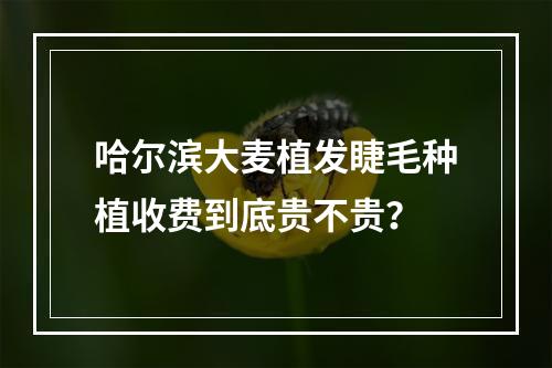 哈尔滨大麦植发睫毛种植收费到底贵不贵？