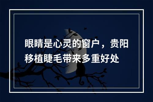 眼睛是心灵的窗户，贵阳移植睫毛带来多重好处