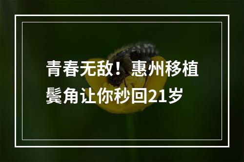 青春无敌！惠州移植鬓角让你秒回21岁