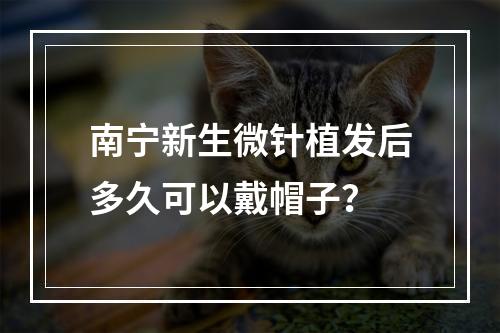 南宁新生微针植发后多久可以戴帽子？