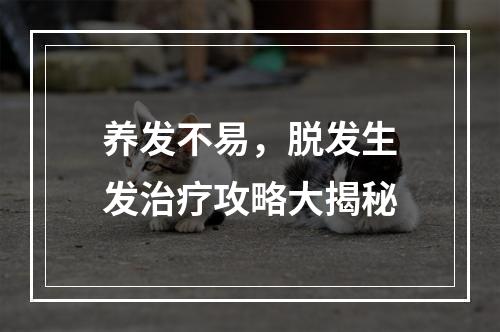 养发不易，脱发生发治疗攻略大揭秘