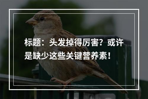 标题：头发掉得厉害？或许是缺少这些关键营养素！