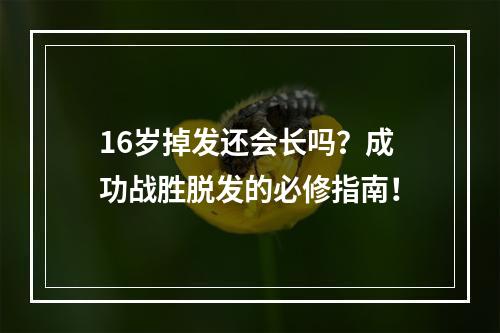 16岁掉发还会长吗？成功战胜脱发的必修指南！