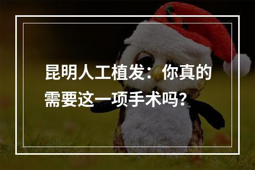 昆明人工植发：你真的需要这一项手术吗？