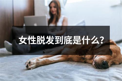 女性脱发到底是什么？