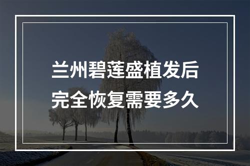 兰州碧莲盛植发后完全恢复需要多久