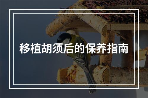 移植胡须后的保养指南