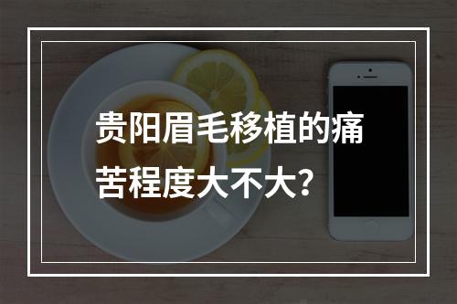 贵阳眉毛移植的痛苦程度大不大？