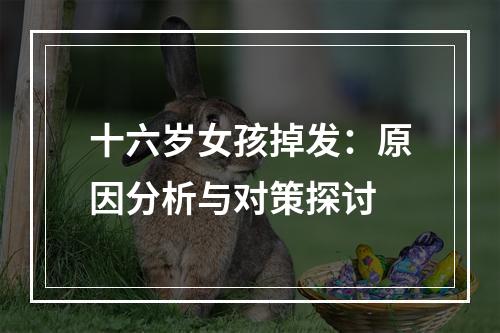 十六岁女孩掉发：原因分析与对策探讨