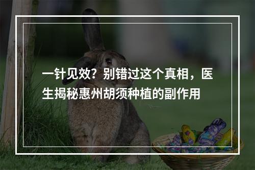 一针见效？别错过这个真相，医生揭秘惠州胡须种植的副作用