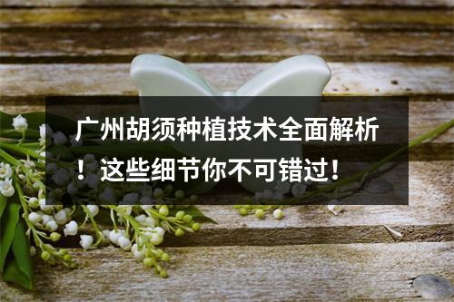 广州胡须种植技术全面解析！这些细节你不可错过！