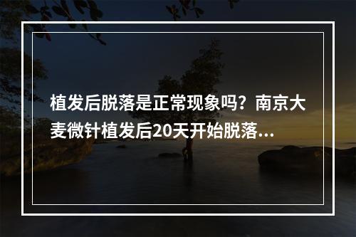 植发后脱落是正常现象吗？南京大麦微针植发后20天开始脱落正常吗？