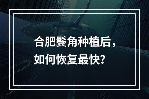 合肥鬓角种植后，如何恢复最快？