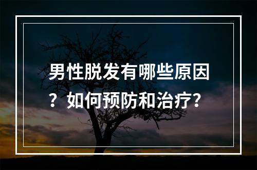 男性脱发有哪些原因？如何预防和治疗？