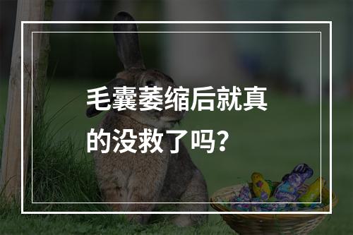 毛囊萎缩后就真的没救了吗？