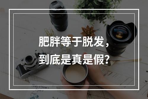 肥胖等于脱发，到底是真是假？