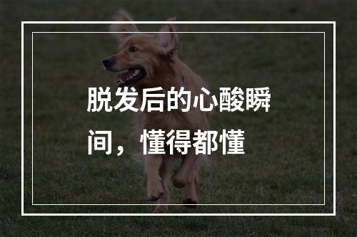 脱发后的心酸瞬间，懂得都懂