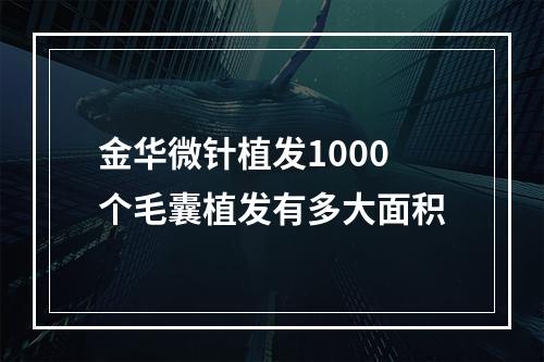 金华微针植发1000个毛囊植发有多大面积