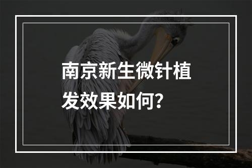 南京新生微针植发效果如何？