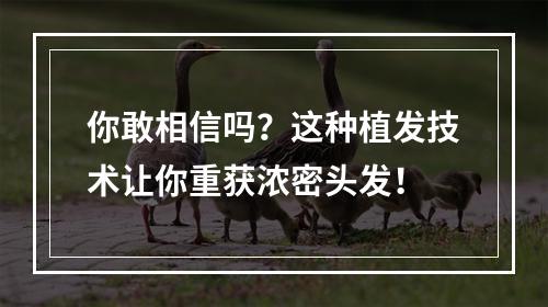 你敢相信吗？这种植发技术让你重获浓密头发！